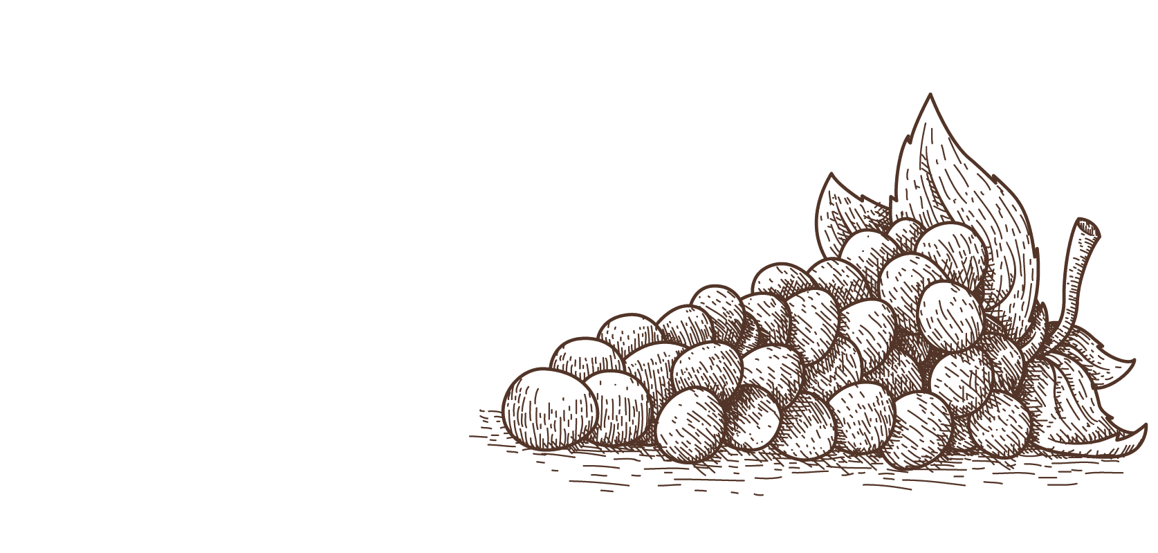 Le volet qui penche - la cave